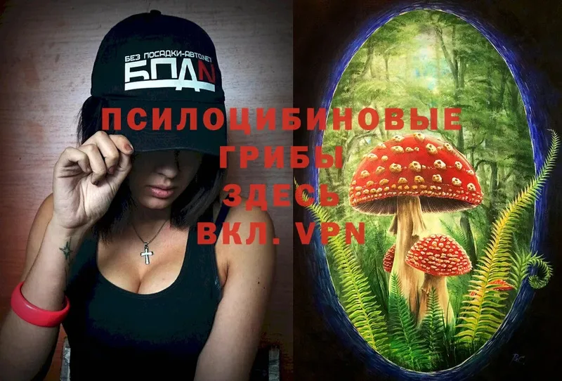 Галлюциногенные грибы Magic Shrooms  Борзя 